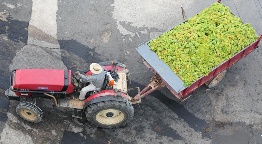 Agrícola Bràfim