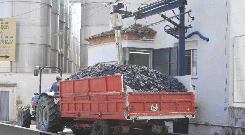 Agrícola de Bràfim