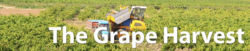 Agrícola de Bràfim