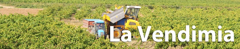 Agrícola de Bràfim